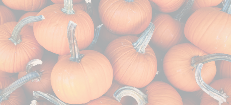 Family Halloween Weekend Fundraiser @ Blue Water Campground