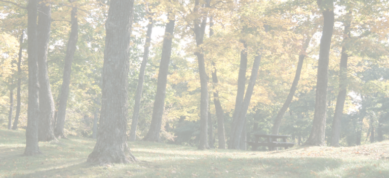 Labor Day Weekend @ Sanford Campground